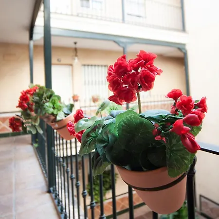 Alohamundi Rocio Apartment *